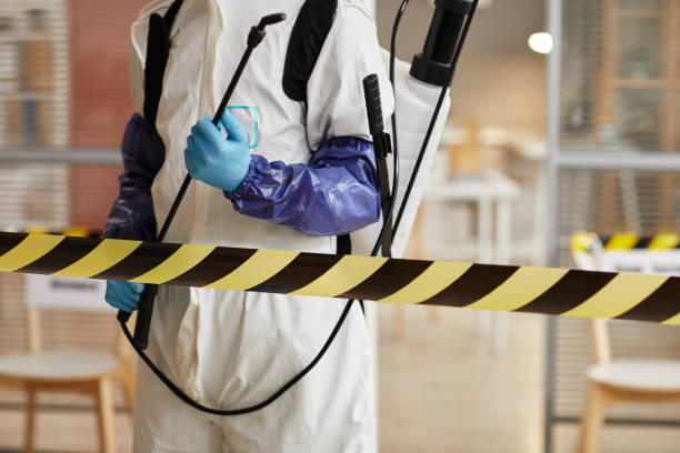 Professional Sewage Cleanup technician working in Orchard, TX